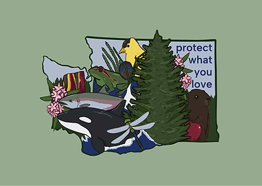 Washington State Symbols