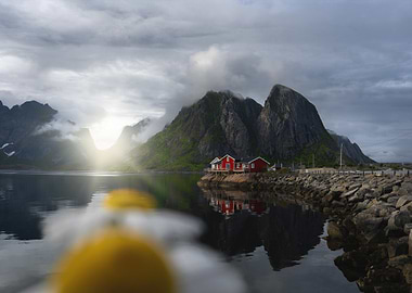 Lofoten Islands Reine