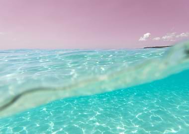 Underwater Caribbean Sea Dream 4