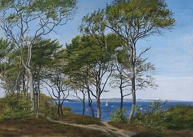 View Through Beech Trees Across a Fiord