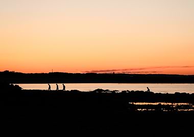 Sunset Silhouettes by the water