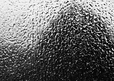 Water Droplets Projected on Tree