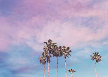 Pastel Palm Trees