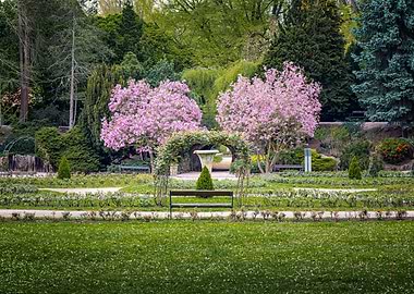 Serene Garden with Blossoming Trees