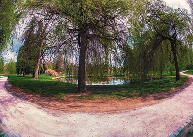 Park with pond and willow trees