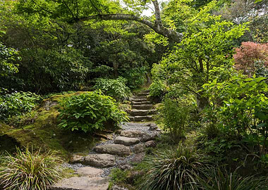 Stone steps in a lush garden