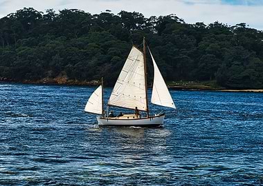 Sailboat on the Water