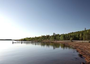 Lake and Forest Landscape