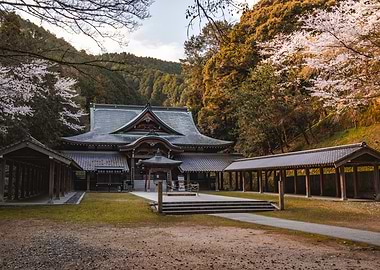 Japanese Temple with Cherry Blossoms