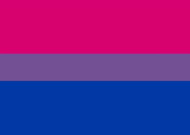 Bisexual Pride Flag