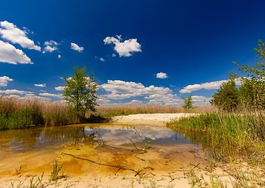 Sunny Day at the Pond, Poland