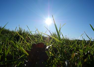 Cut this sun it's december !