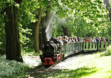Steam Train Through Forest