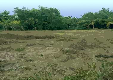 Tropical Field with Palm Trees AN4