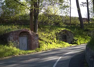 Roadside Cellars in Green Landscape