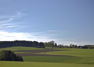 Green Fields and Blue Sky