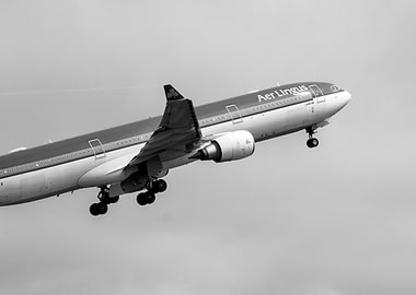 Aer Lingus A330 Taking Off