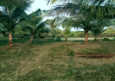 Coconut Palm Grove Landscape AN6
