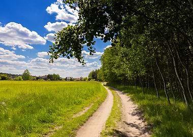 Dirt road through a green field, Poland