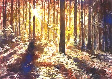 Sunlit Forest Watercolor Painting