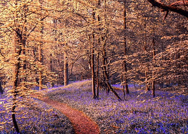 Flower Forest Path