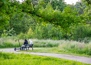 Park bench with people and scooter