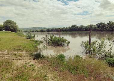 River landscape with green vegetation