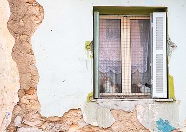 Cats in Window