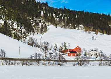 Scarlet Slope Shelter