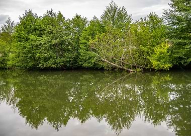 Reflections on the Water