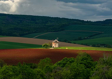 Rustic Windmill and Crimson Clover Field Czech Countryside Landscape
