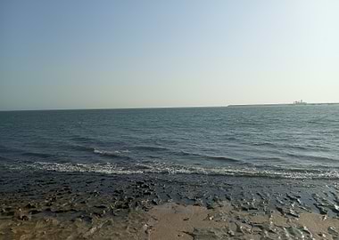 Calm Ocean View with Rocky Shore