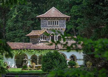Castle in Forest Setting