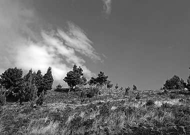 Black and White Hillside Landscape