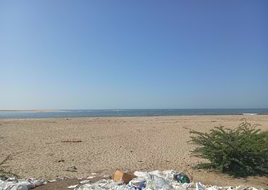 Polluted Beach Landscape