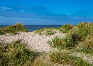 Sand dunes with grass and ocean view