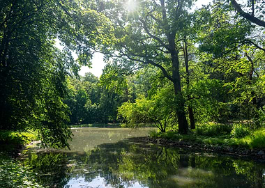 Lush Green Forest and Lake