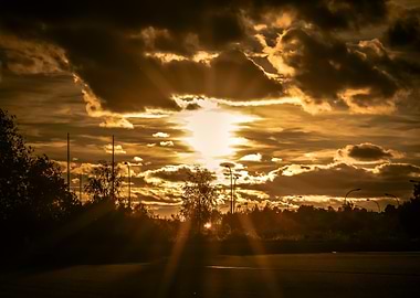 Golden Sunset Landscape