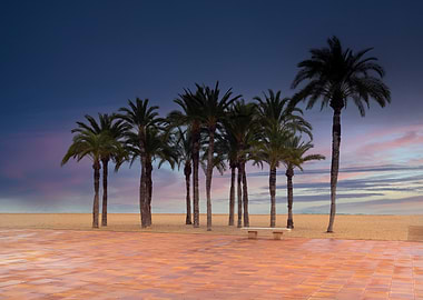 Palm Trees at Dusk Beach Scene