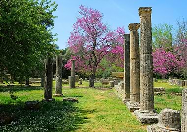 Ancient Olympia Ruins with Blossoming Trees