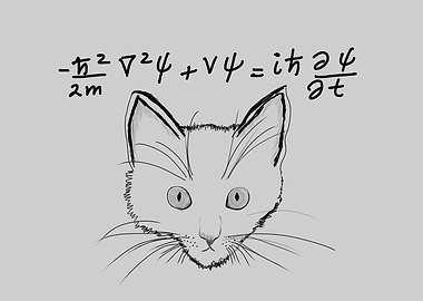 Schrödinger's Cat Equation Sketch