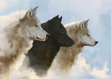 Three Wolves Portrait