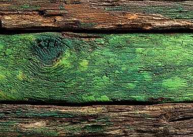 Green and Brown Weathered Wood Texture