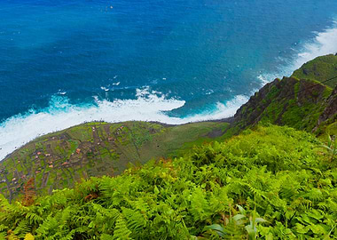 Coastal Cliffside View with Lush Vegetation, Madeira