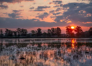 Sunset Reflection on Water