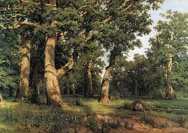 Oak Grove Painting by Shishkin