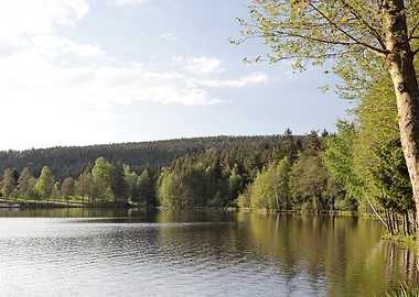Lake and Forest Landscape