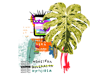 “Monstera Bullbasaur” Abstract Monstera Plant