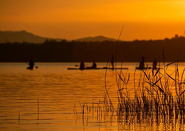 Golden Sunset Paddle Boarding on Lake