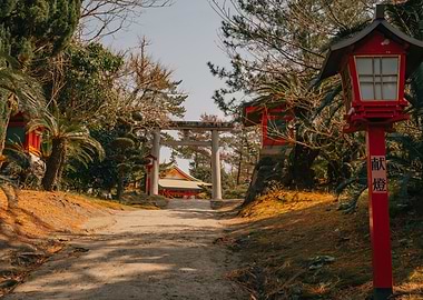 Tropical Shrine in Kagoshima, Japan